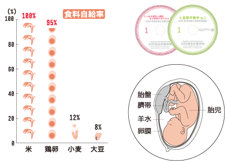 教材のサンプル1