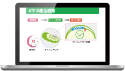 パソコン(小)
