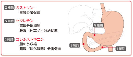 教材サンプル