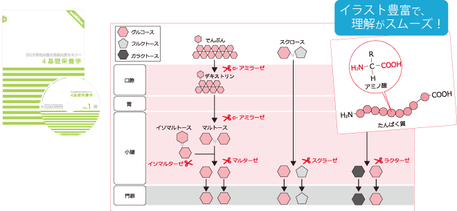 テキストサンプル