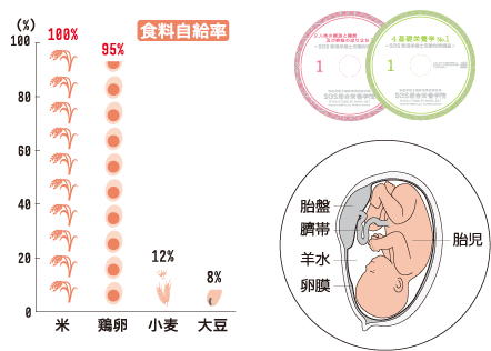 教材のサンプル1