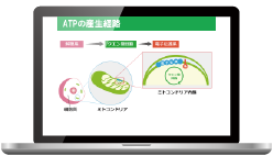 パソコン(小)