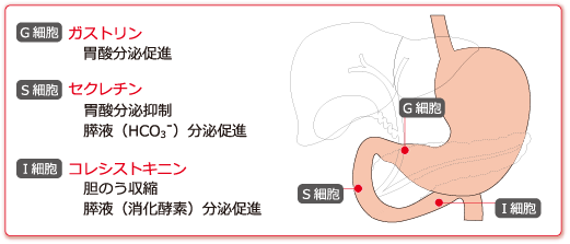教材サンプル