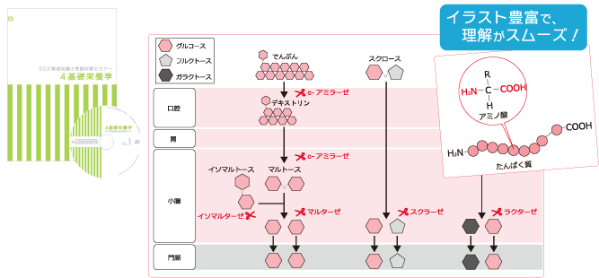 テキストサンプル