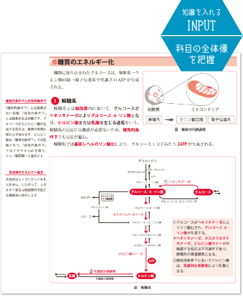 SGS専用テキスト