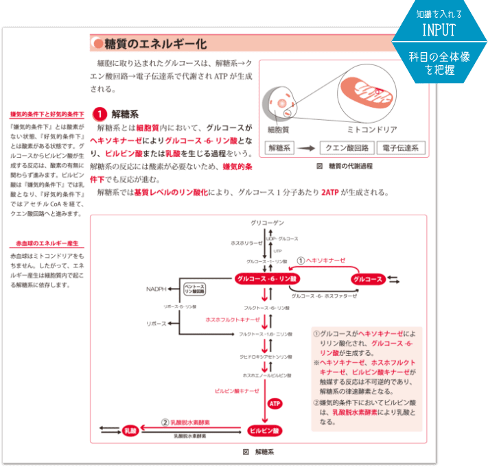 SGS専用テキスト