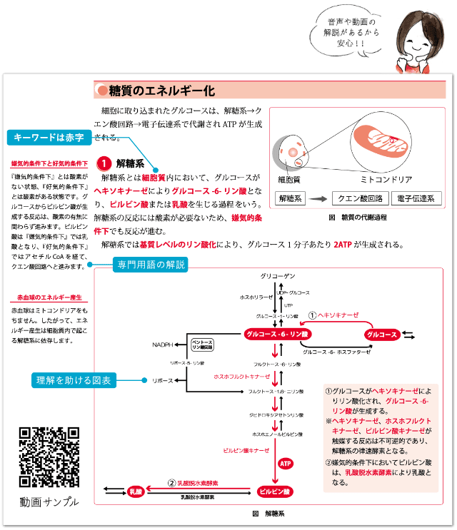 よくわかる教材一覧