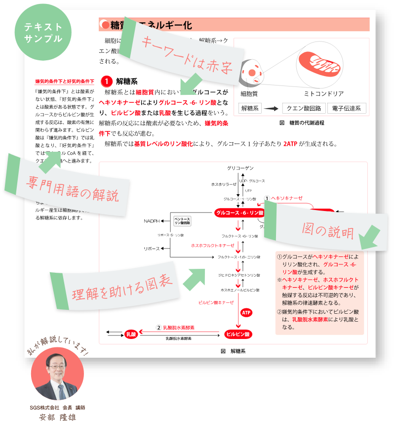 テキストサンプル 私が解説しています! SGS株式会社 会長 講師 安部 隆雄