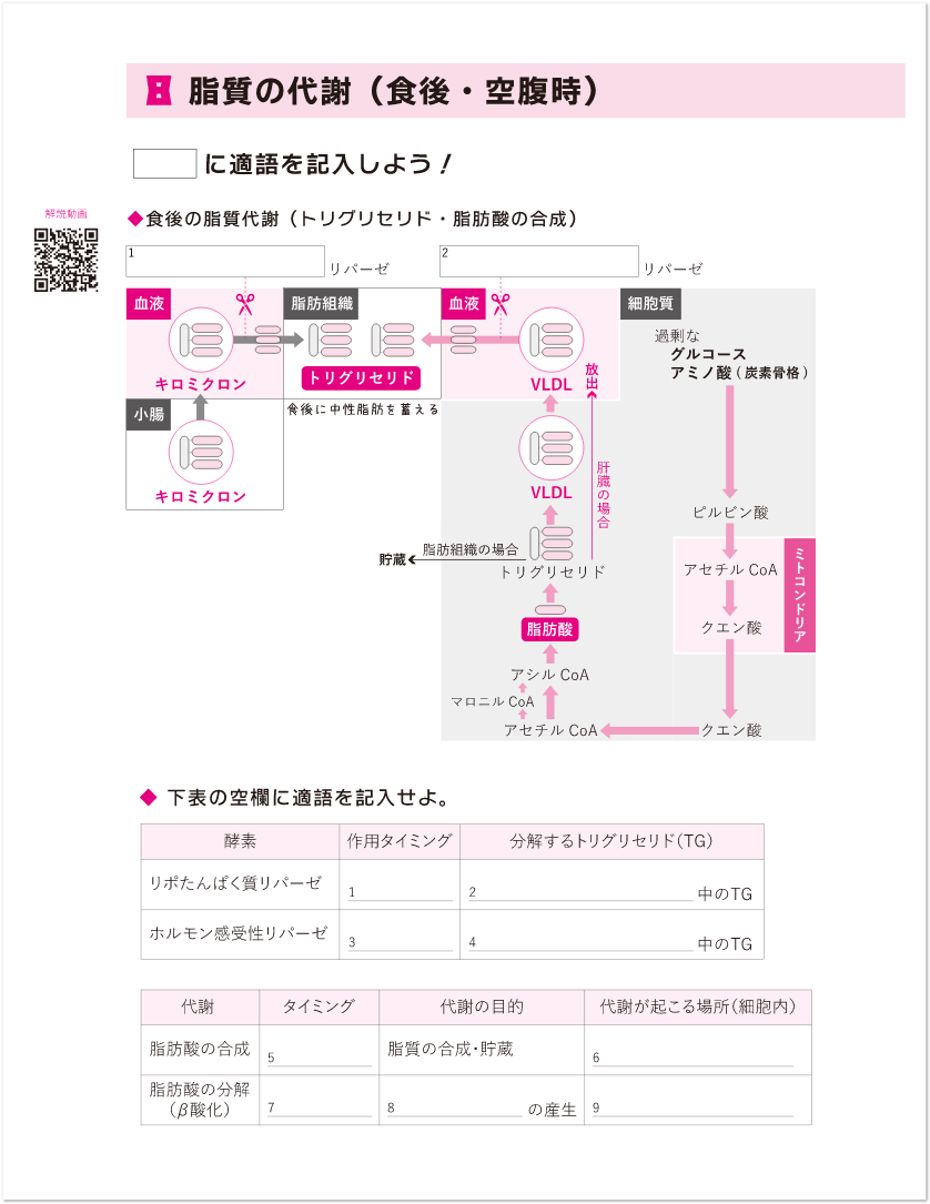 管理栄養士国家試験合格なら受験対策セミナーコース - SGS総合栄養学院