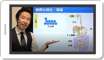 テキスト解説動画