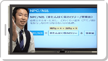 みんなの疑問を解説動画