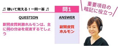 聞いて覚える！一問一答のイメージ