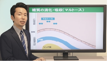テキスト解説動画