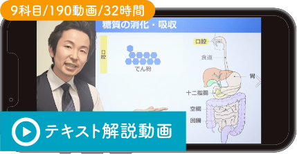 テキスト解説動画