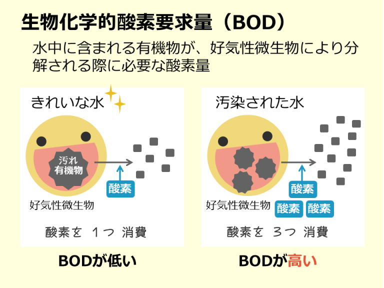 【社会】水質汚濁 – SGSブログ